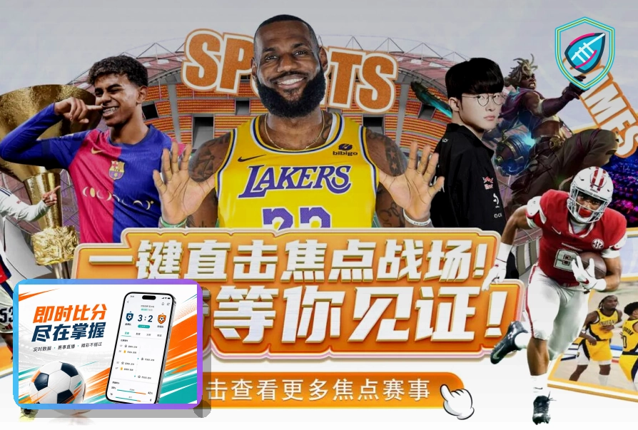 世界杯赛事指南与图表
